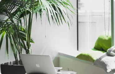 kaiyun.com