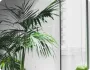 前沿赛事：一手资讯掌握 - kaiyun.com